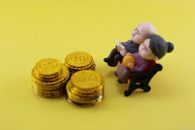 企业年金什么意思
