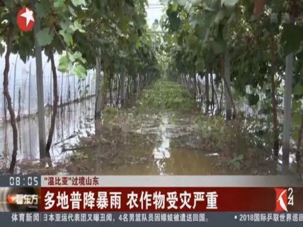 平安保险e行销登陆