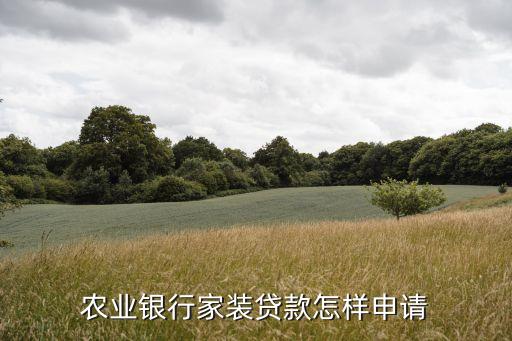 农业银行家装贷款怎样申请