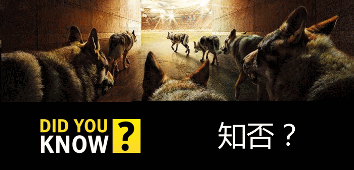 知否：全球大宗商品及衍生品专家问答平台 | 百科，ask，问答，知道，知乎，知否，提问与回答，专家问答平台，现货原油介绍，现货原油骗局解密，最全现货诈骗骗局解密