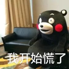 派息是什么意思
