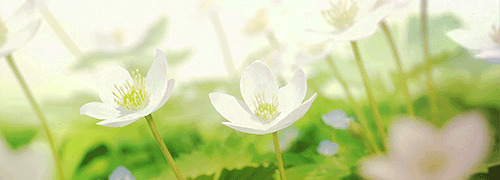 老人河