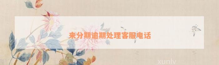 来分期逾期处理客服电话
