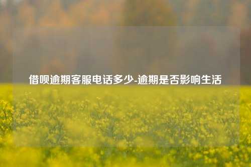 借呗逾期客服电话多少-逾期是否影响生活