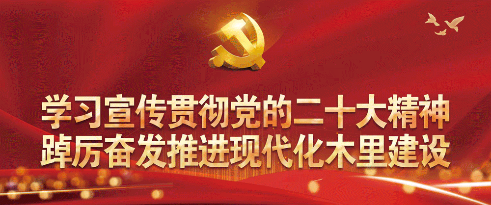 惠农e贷