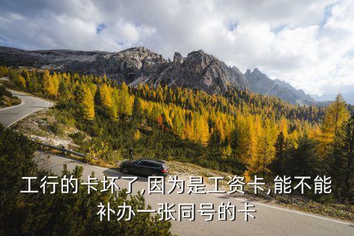 工行的卡坏了,因为是工资卡,能不能补办一张同号的卡