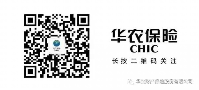 华农保险公司