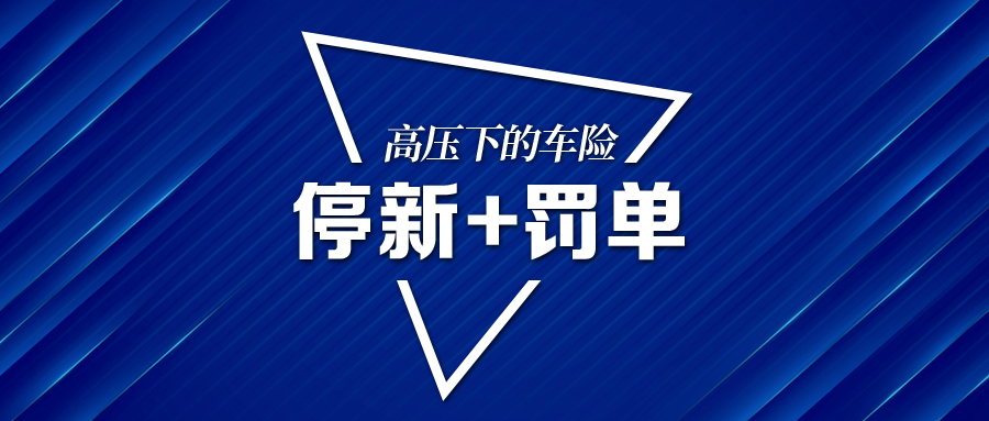 国任车险怎么样