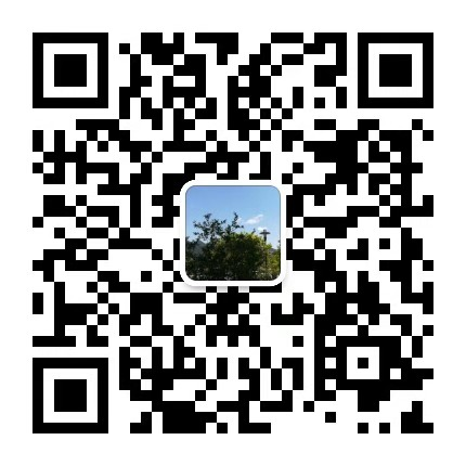 公务员炒股最新规定