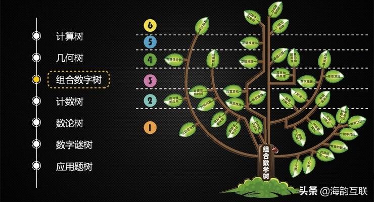 大数是什么