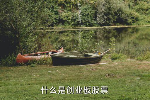 什么是创业板股票
