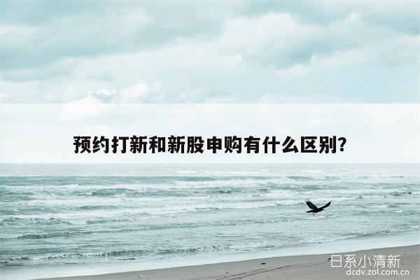 打新股是什么意思