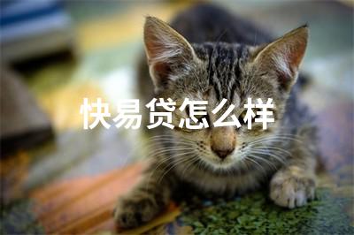 快易贷怎么样