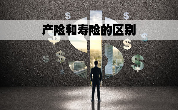 产险是什么