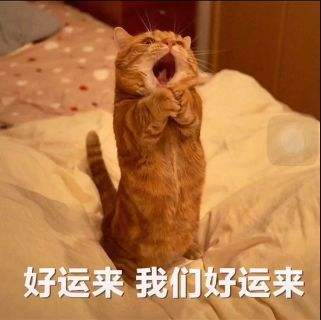 爆仓是什么意思啊