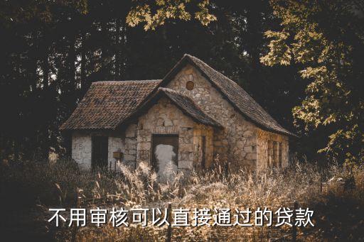 不用审核可以直接通过的贷款