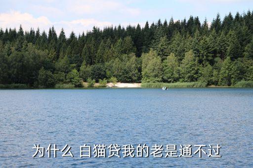 为什么 白猫贷我的老是通不过