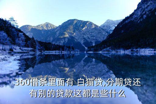 360借条里面有 白猫贷,分期贷还有别的贷款这都是些什么