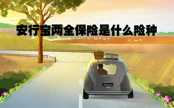 安行宝两全保险