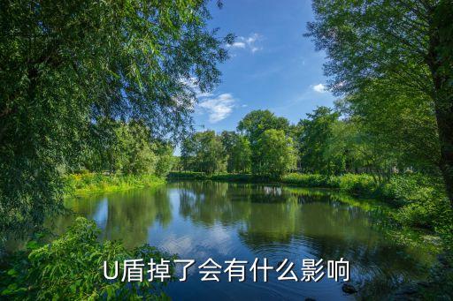 U盾掉了会有什么影响