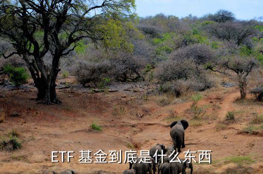 ETF 基金到底是什么东西