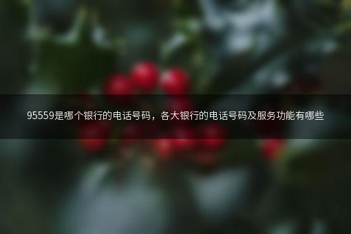 95559是哪个银行的电话号码，各大银行的电话号码及服务功能有哪些