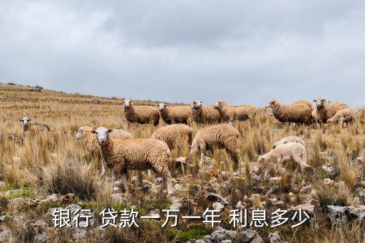 银行 贷款一万一年 利息多少