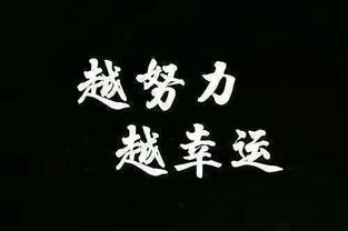 中信信秒贷客服电话