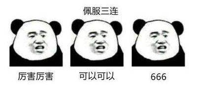 中宏人寿保险有限公司