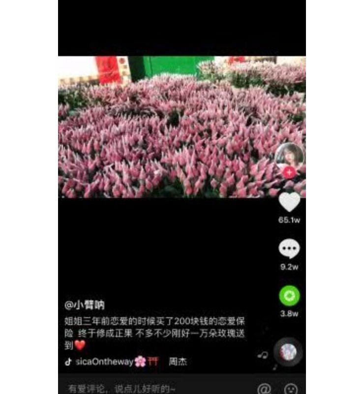 中国人寿恋爱保险