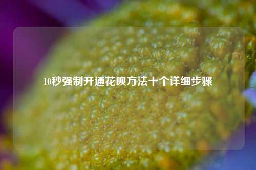 10秒强制开通花呗方法十个详细步骤