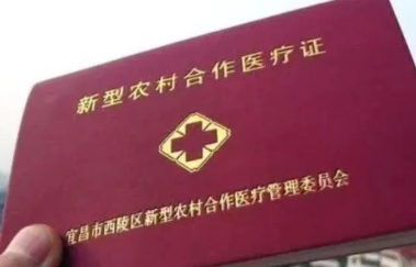 新农合是什么意思