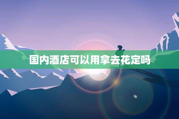 国内酒店可以用拿去花定吗
