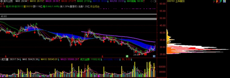 通达信主力筹码选股器