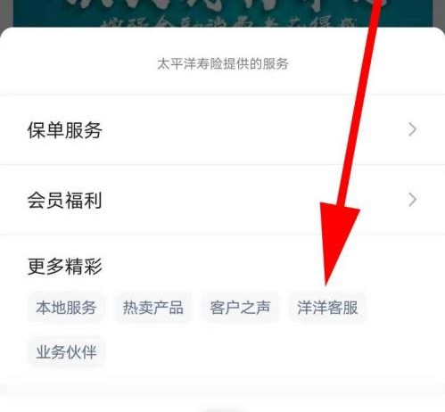 太平洋保险在线商城