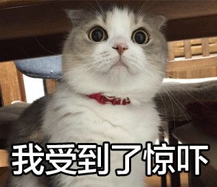 申根是什么意思
