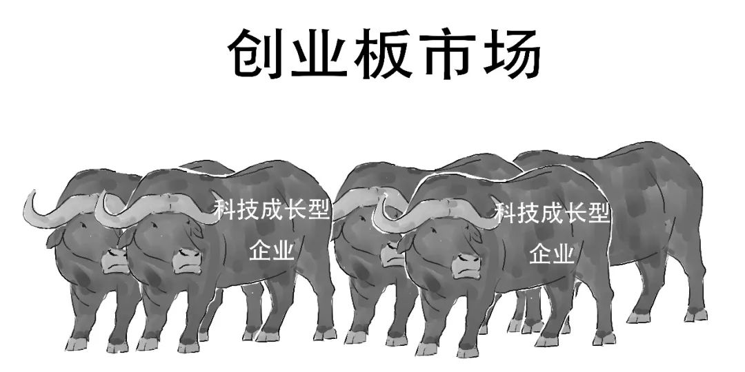 三板是什么意思