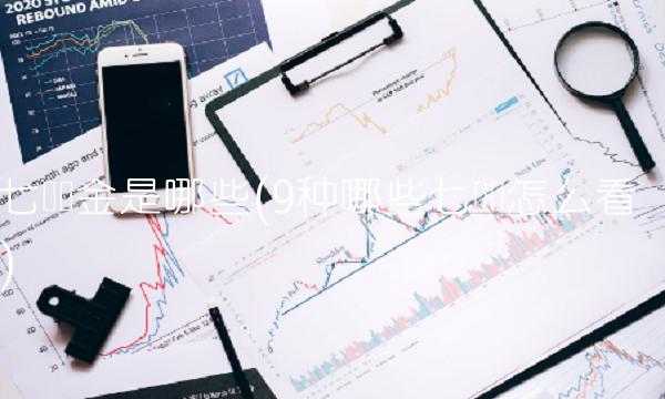 七险两金是哪些(9种哪些七险会怎么看)