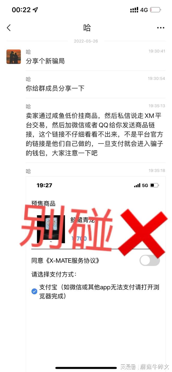 庞氏骗局是什么意思
