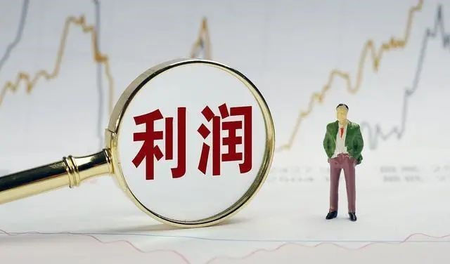 毛利润什么意思