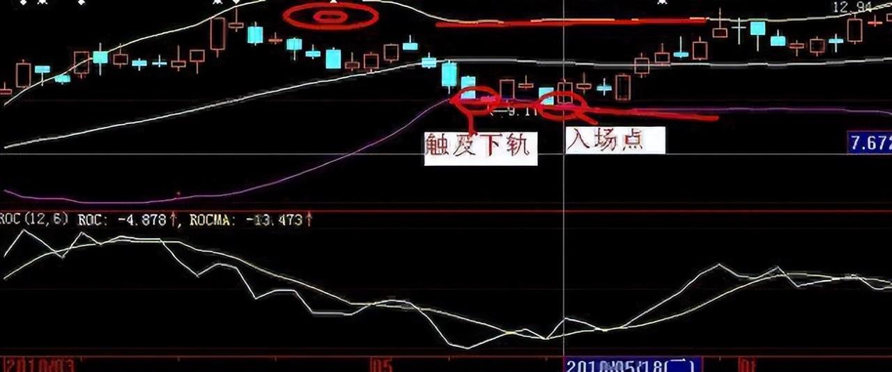 老鸭头形态