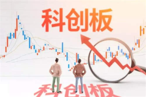 举牌是什么意思