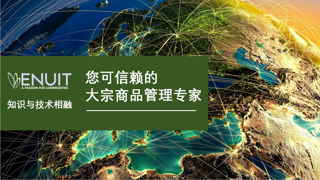季报是什么意思