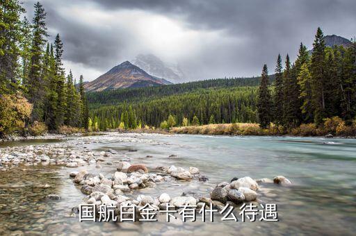 国航白金卡有什么待遇