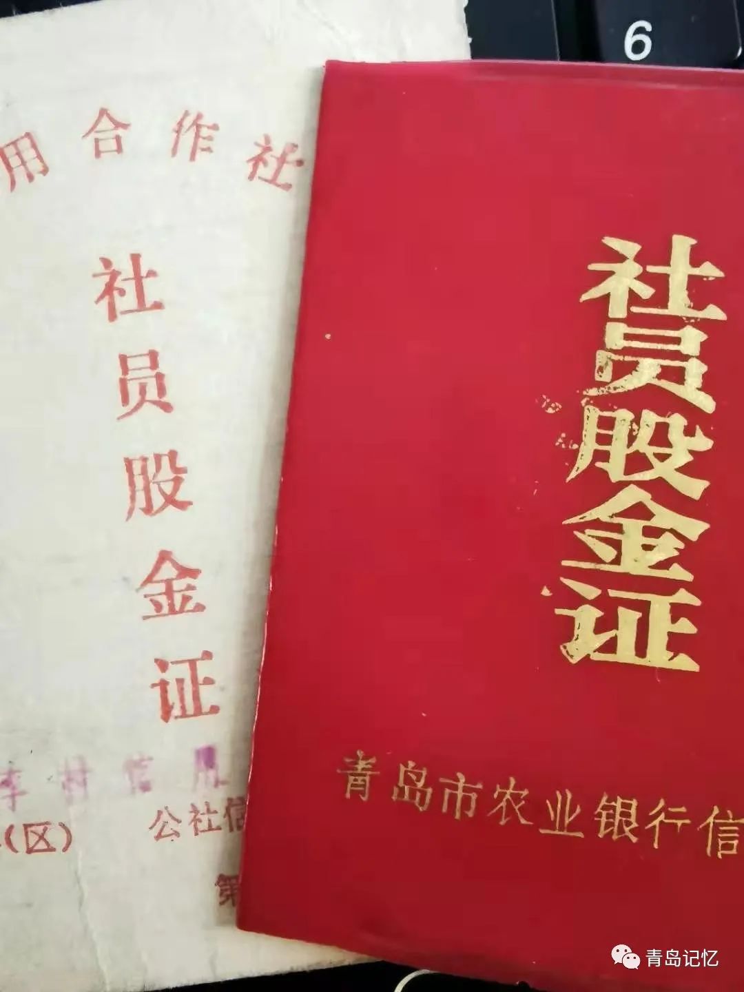 股金证