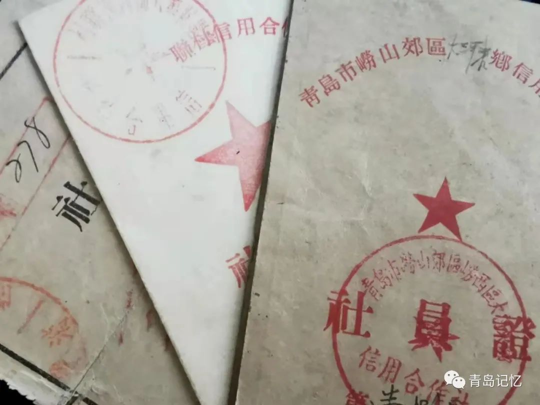股金证