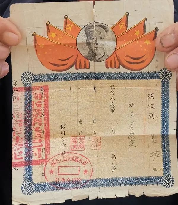 股金证