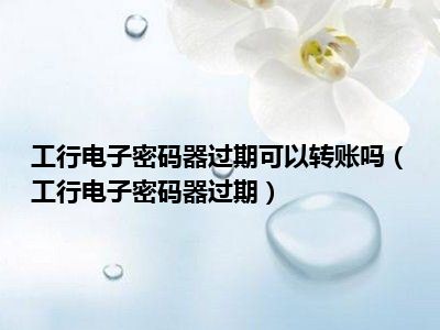 工银电子密码器