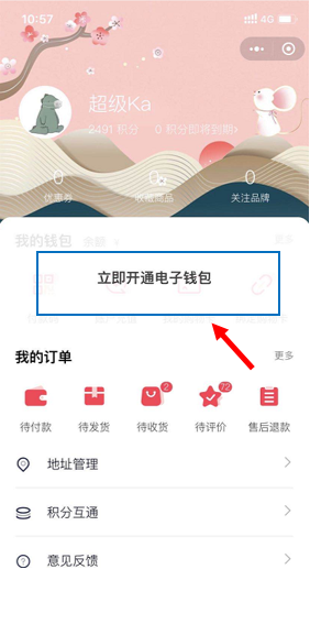 电子钱包怎么开通
