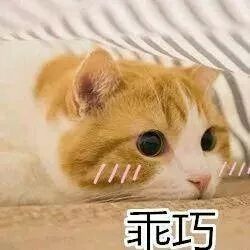 大摩小摩